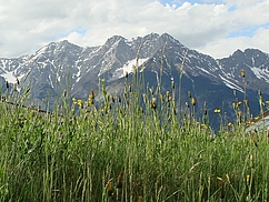 image-1261
