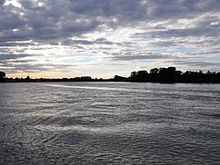 image-1436